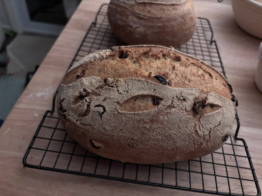 Gluten Free Vegan Cinnamon Cranberry Sourdough Loaf