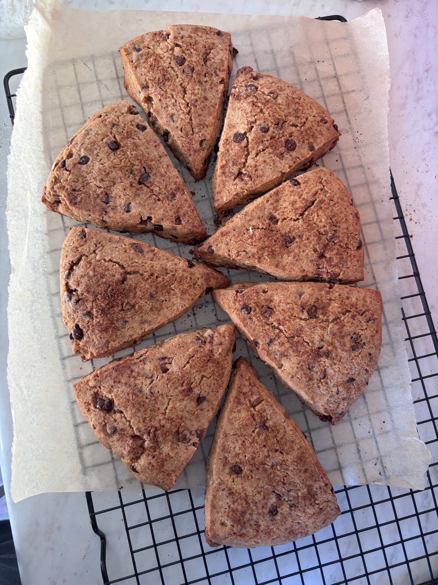 Pecan Chocolate Chip Sourdough "Sconookie" (Gluten Free & Vegan)