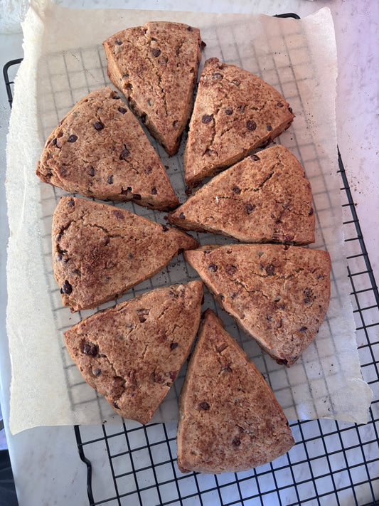 Pecan Chocolate Chip Sourdough "Sconookie" (Gluten Free & Vegan)
