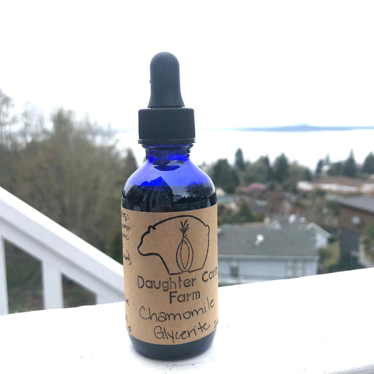 Chamomile Glycerite